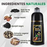 Champú Tinte negro 2 en 1 – Lava, Tiñe y Cubre Canas al Instante